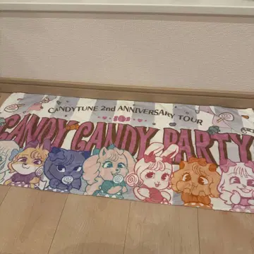 CANDYTUNE 캰파티 페이스 타월 투어 캰츄
