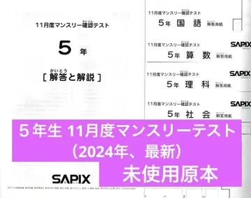 미사용 원본 사피 5년 11월 먼슬리 확인 테스트