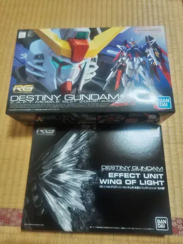 RG 데스티니 건담 + 윙 오브 라이트