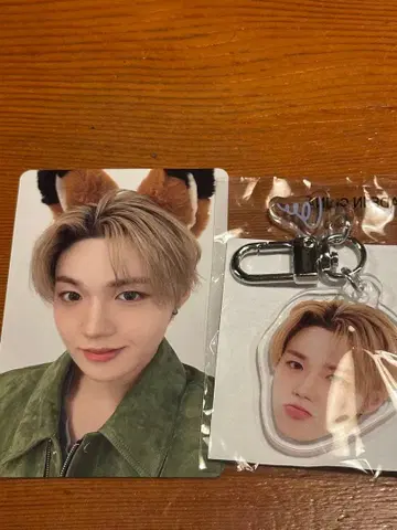 TREASURE 도영 캡슐 토이 트레이딩 카드 세트