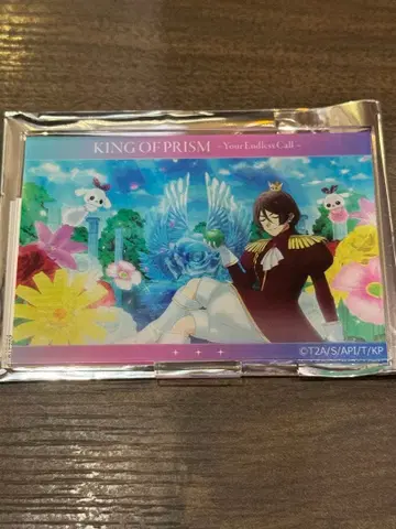 KING OF PRISM 아니슈가 장면 사진 아크릴 스탠드 호즈키 진