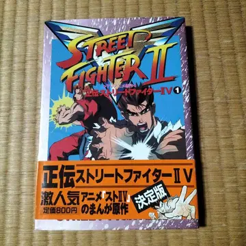 정전 스트리트 파이터 II V : TV 애니메이션 원작 1
