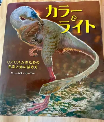 컬러 & 라이트 제임스 가니 저 미술서