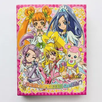 두근두근! 프리큐어 카드 수납 파일 카드 29장 세트