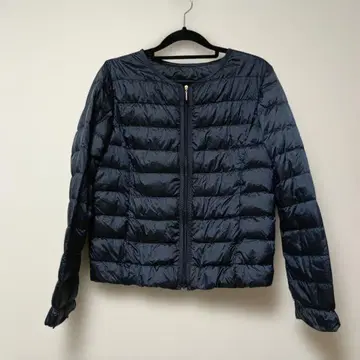 anysis 이너 다운