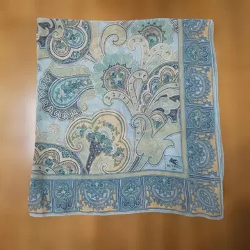 Etro 페이즐리 스카프