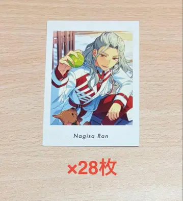 앙스타 나기사 파샤츠