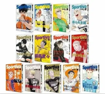 하이큐 쇼세츠반 전 13권 sportiva 콜라보