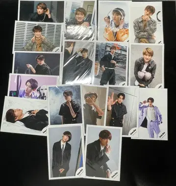 무카이 코지 공식 사진 17장