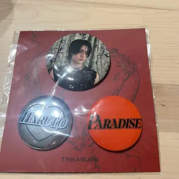 LOVEPULSE TREASURE HARUTO 캔뱃지 세트