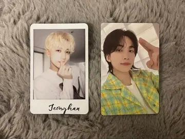 SEVENTEEN 정한 al1 follow 포토카드 세트