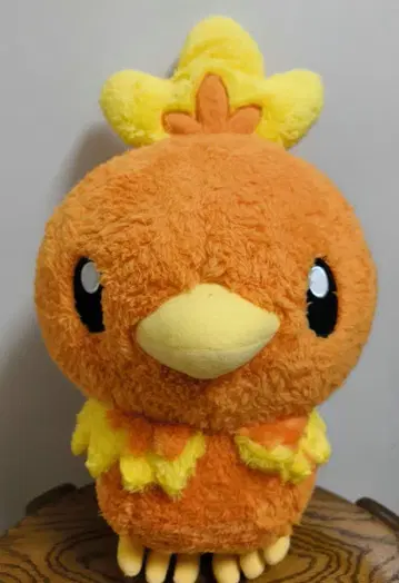 포켓몬 아차모 봉제 인형