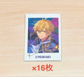 앙스타 카오루 파샤츠 TRIP