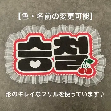 네임보드 SEVENTEEN 세븐틴 승철 에스쿱스 네임보