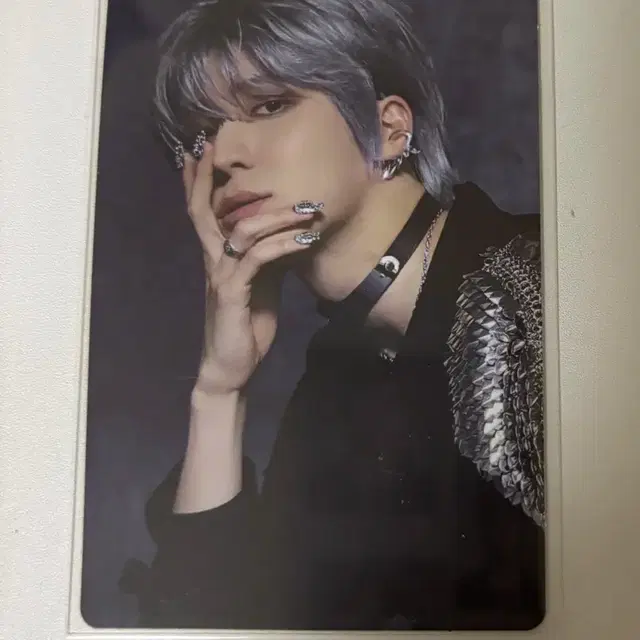 Gon (Vanner) | Bunjang, Fansigns & Albums | Kfriday