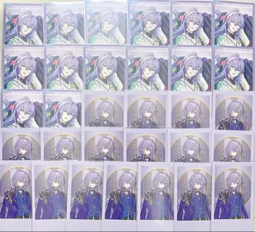 니지산지 호시미치 쇼 폴라로이드