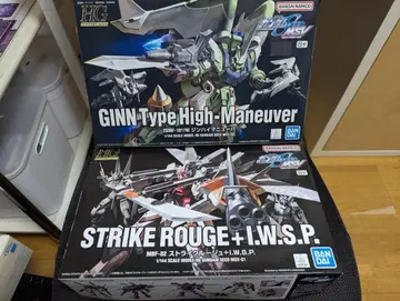 HG GUNDAM SEED MSV STRIKE ROUGE + GINN