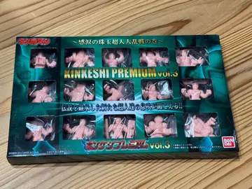 근육맨 근육맨 양귀비 프리미엄 vol.3 미개봉 상자 약간의 흠집