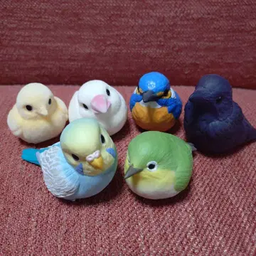 테노리 프렌즈 새 6마리 세트