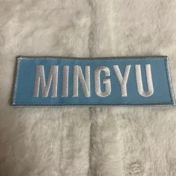 세븐틴 민규 와펜 배지