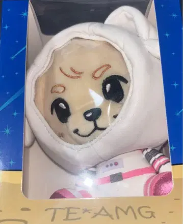 이와타 타카노리 록키