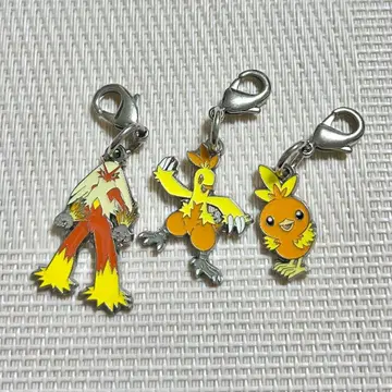 2012년 포켓몬 메탈 참 아차모 와카샤모 바샤모