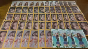 지효 트레카 세트