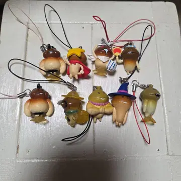 나메코 재배 키트  스트랩 9개 세트