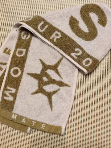 3JSB KINGDOM 2025 라이브 투어 타월