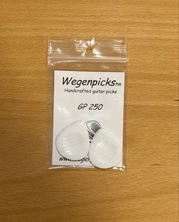 피크 Wegenpicks GP250 2개