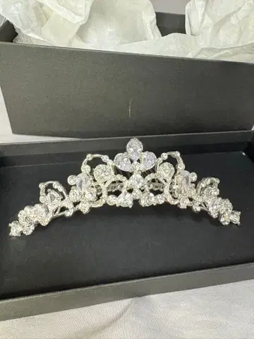 티아라 와타베 웨딩