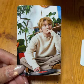 노무상님 코무돗토 트레이딩 카드