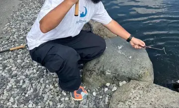 Stabridge 낚시 T셔츠 점포 한정판 the apartment