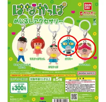 하나갓파 메지루시 액세서리 가리조 아게루짱