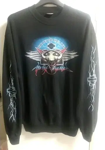 00s HARLEY DAVIDSON 블루 썬더 라이트닝 소