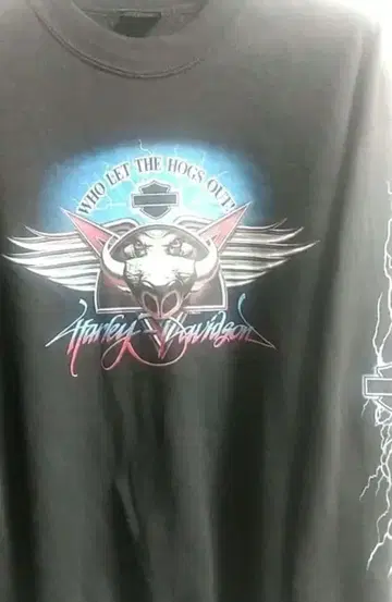 00s HARLEY DAVIDSON 블루 썬더 라이트닝 소