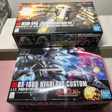 [새상품] HG MSM-04G 주아그 & RX-160S 바이아란 커스텀