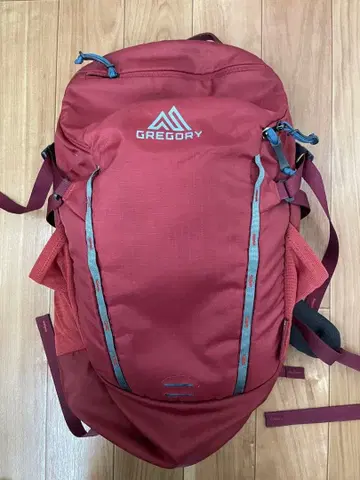 GREGORY 백팩 레드