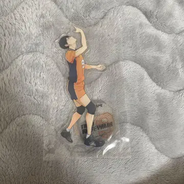 하이큐!! 카게야마 토비오 아크릴 스탠드