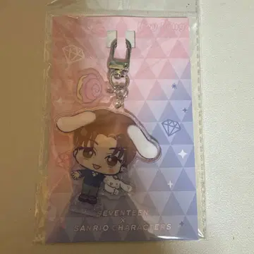 seventeen 조슈아 키링 산리오 돈키