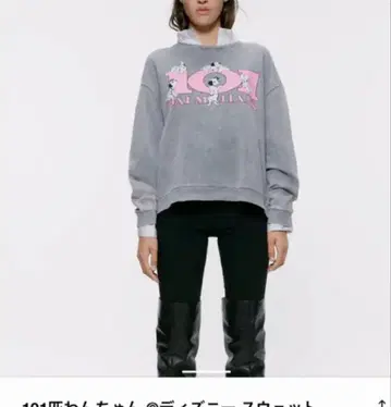 ZARA 맨투맨 101마리 강아지 디즈니 S 빅