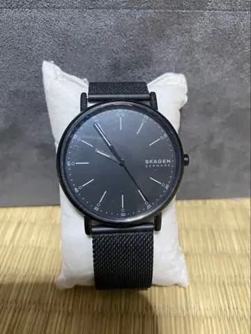 SKAGEN 블랙 메쉬 손목시계