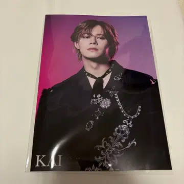 초특급 카이 NINELIVES 특전회 오로시회 한정판 엽서