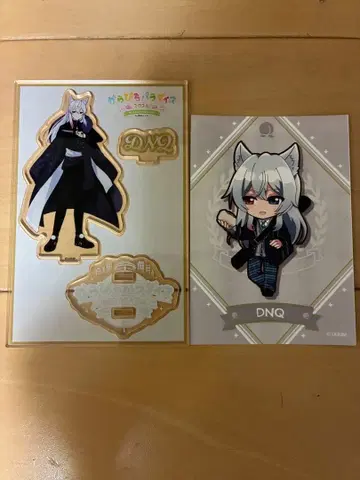 카라피치 도누쿠 DNQ 아크릴 스탠드와 카드 세트