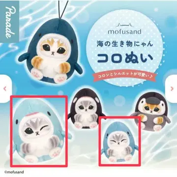 모프 샌드 바다 생물냥 코로누이 진베이 상어냥 상어냥