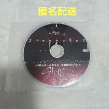 StrayKids 스키즈 데뷔 서바이벌 DVD 전 10권