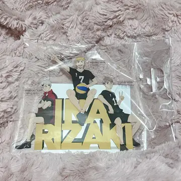 하이큐 스쿨 오브제 피처 월 이나리자키