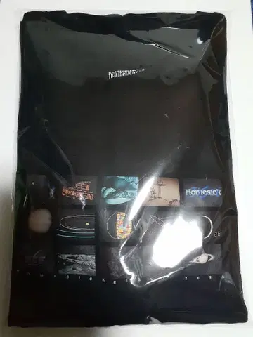 BUMP OF CHICKEN 홈시크 위성 2024 파이널 T셔츠