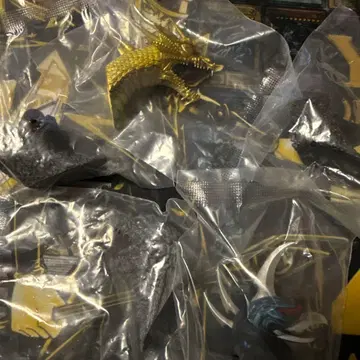 제일복권 고질라 대괴수열전G G상 몬스터 헤드 마그넷 5종 세트