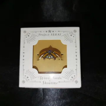 카미시로 루이 프로세카 5주년 감사제